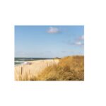 Outer Cape Cod Rentals